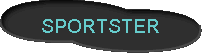  SPORTSTER 